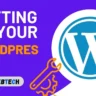 setting up your wordpress website